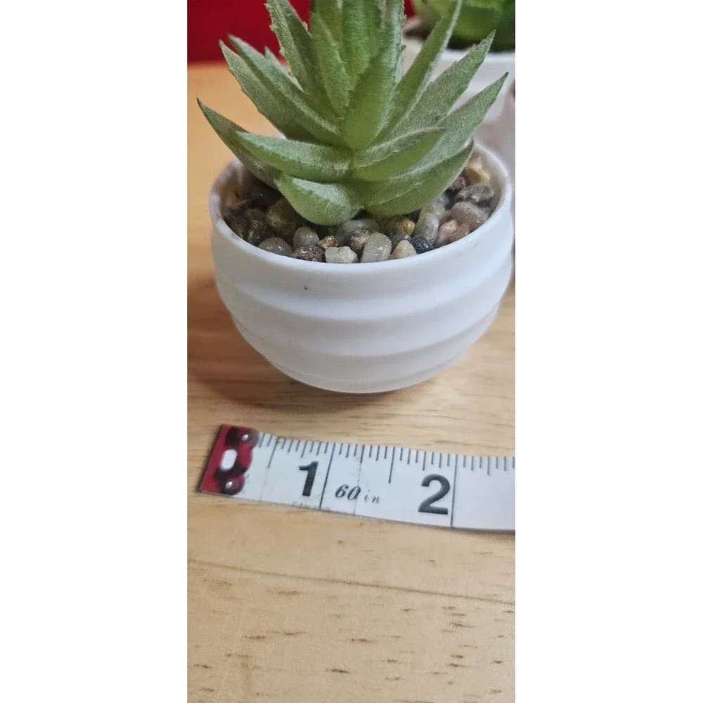 Set of 6 Faux Succulent Plants in White Pots Mini Artificial Desk Home Decor